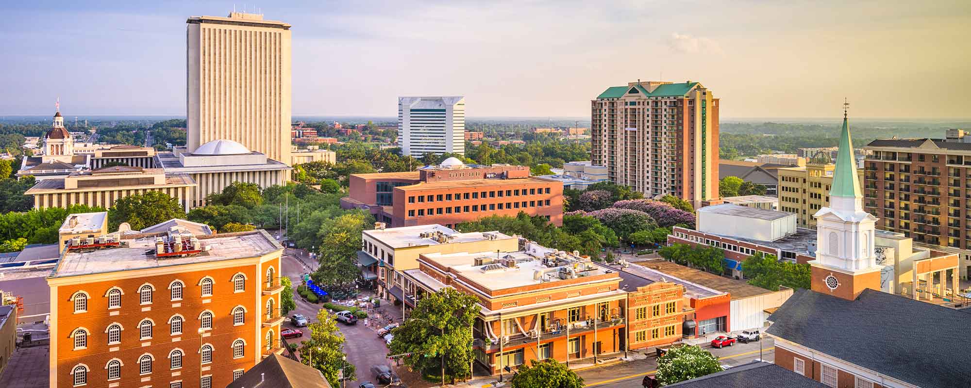 Tallahassee Skyline